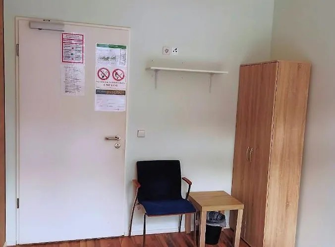 Puschkin 招待所 3*