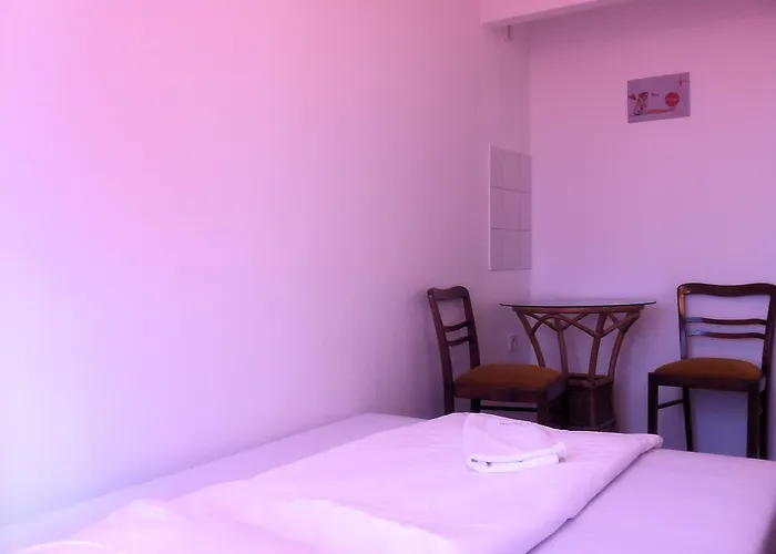 Puschkin ゲストハウス ベルリン